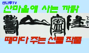 기사이미지